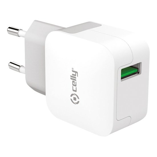 Celly Telefoonlader 2.4A USB-C Turbo (2) TCUSBTYPEC