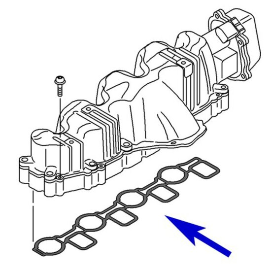 VAG 2.0 TDI Wervelkleppen Verwijder Kit Kunststof Inlaat VQP0135N (5)