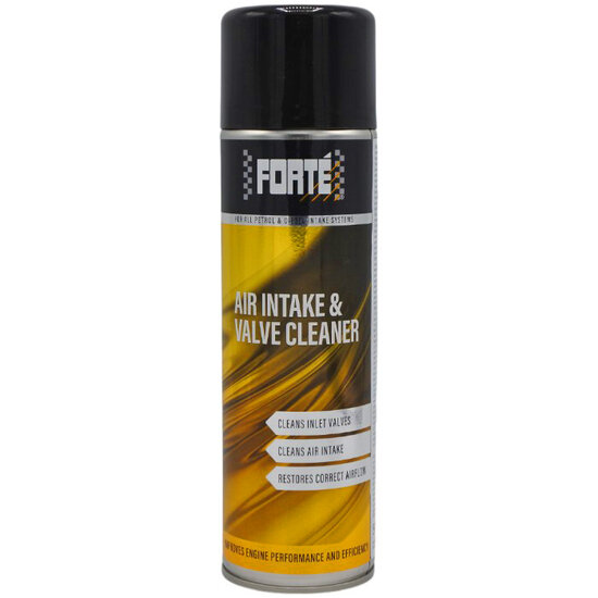 Forte Air Intake &amp; Valve Cleaner 09410