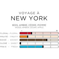 IMAO Auto Luchtverfrisser Voyage &agrave; New York PP07300 (3)