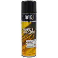 Forte Air Intake &amp; Valve Cleaner 09410